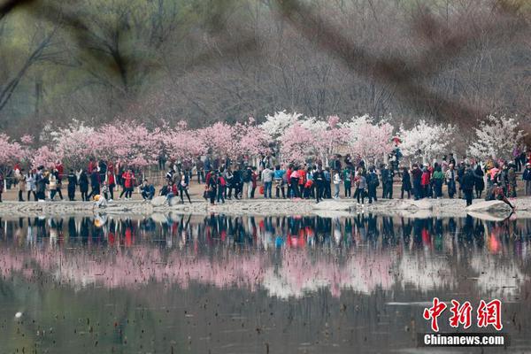 寿司可以隔夜吃吗