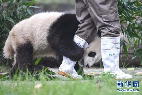 洋葱去味除甲醛吗