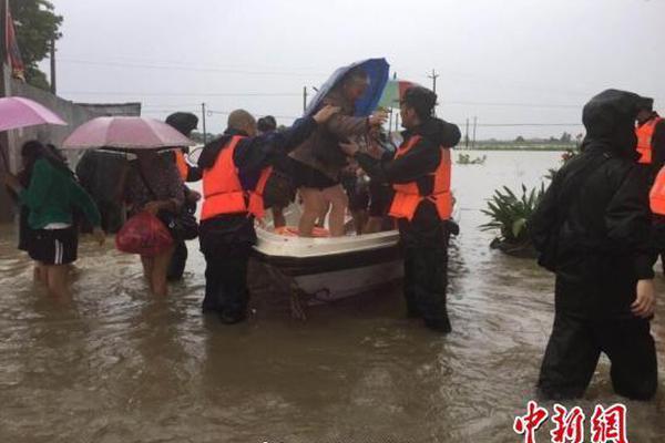 菜地蚂蚁用什么药可以杀死