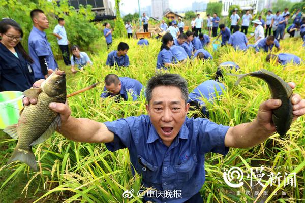 风油精伤不伤车漆