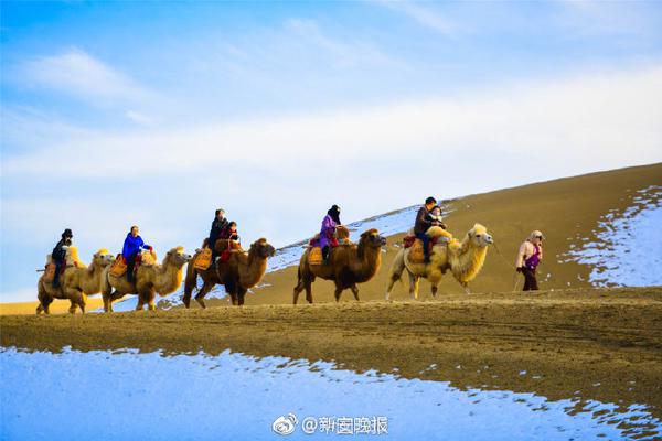 普通却自信是什么梗