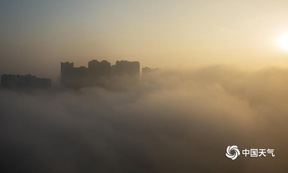 阴阳师于家什么梗