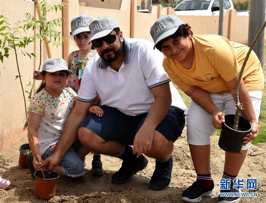 社区重阳节活动方案