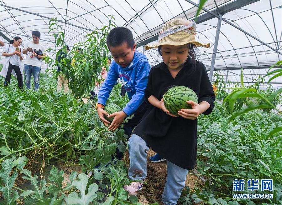 什么食物对脑梗有好处