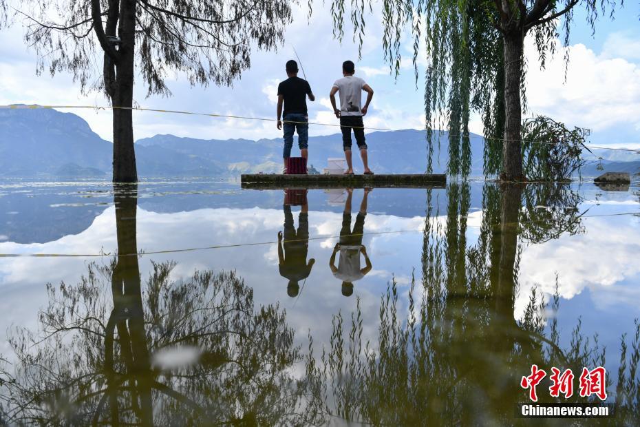 梗概是什么意思啊